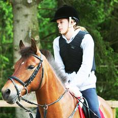 Anden særlig race PRINS KASHMIR 