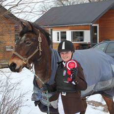 Welsh Partbred (Sec F) Kildegård Laura