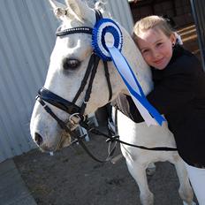 Anden særlig race Lucas