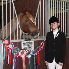Welsh Cob (sec D) Sirius-S [Rider]