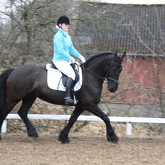 Frieser Like Jebjerg