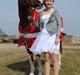 Arabisk fuldblod (OX) Marquis de monte ox My soulmate