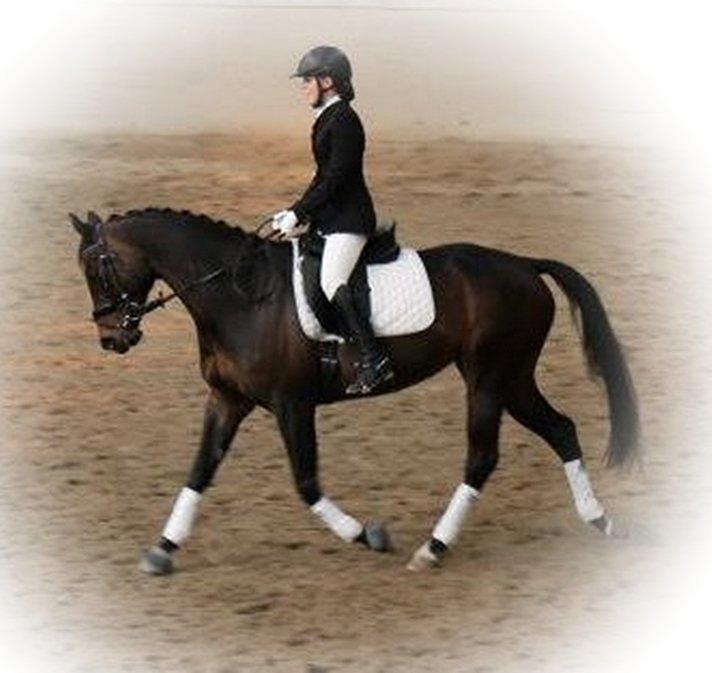 Dansk Varmblod Poppelgaardens Penelope - d. 20-4-2013 
Pene og jeg til vores første stævne :D billede 8