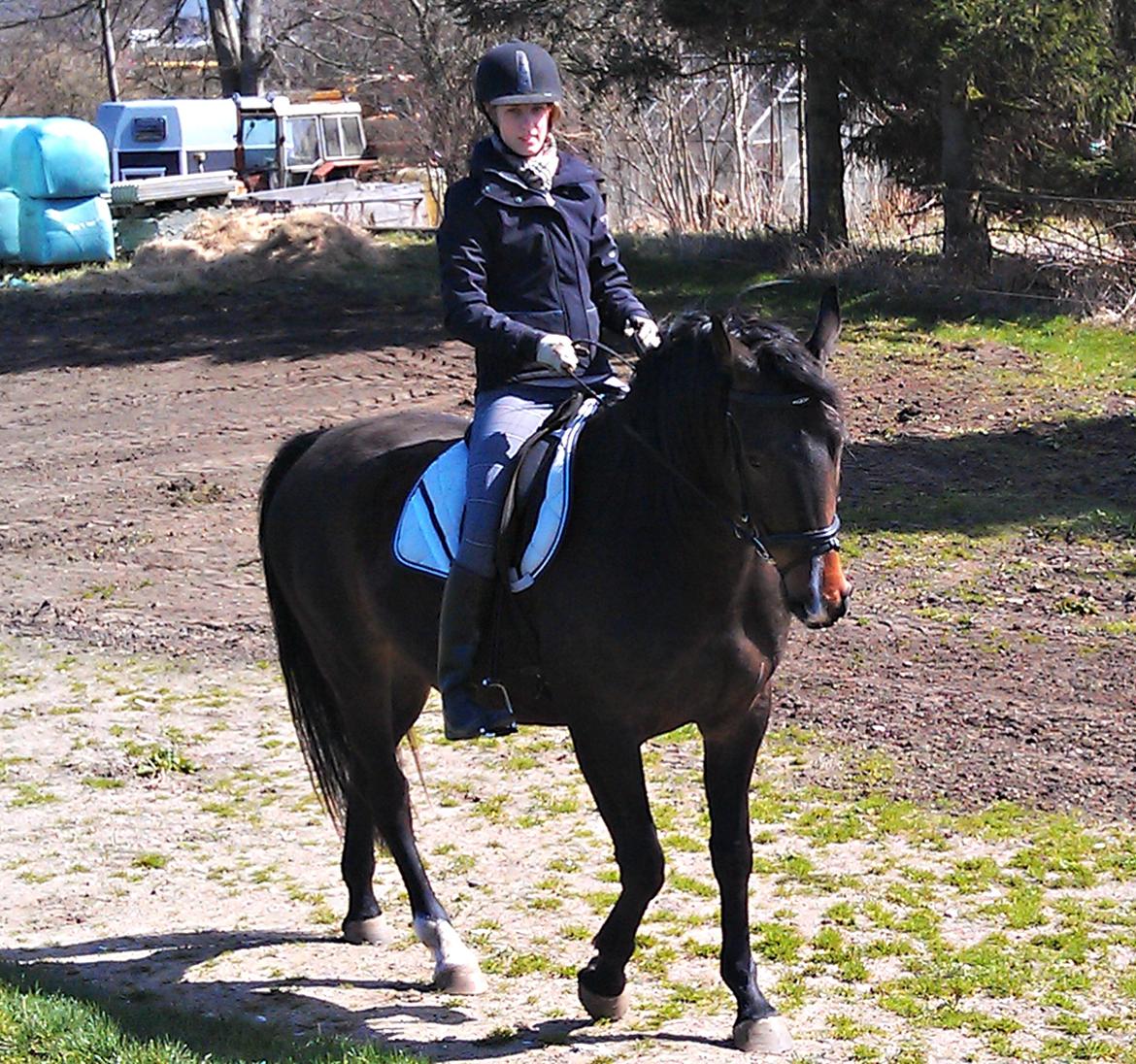 Anden særlig race Egekvist's Chili - Min prinsesse, min engel, min putte. Elsker hende såsåsåså højt! <3
D. 20/4 2013 billede 3