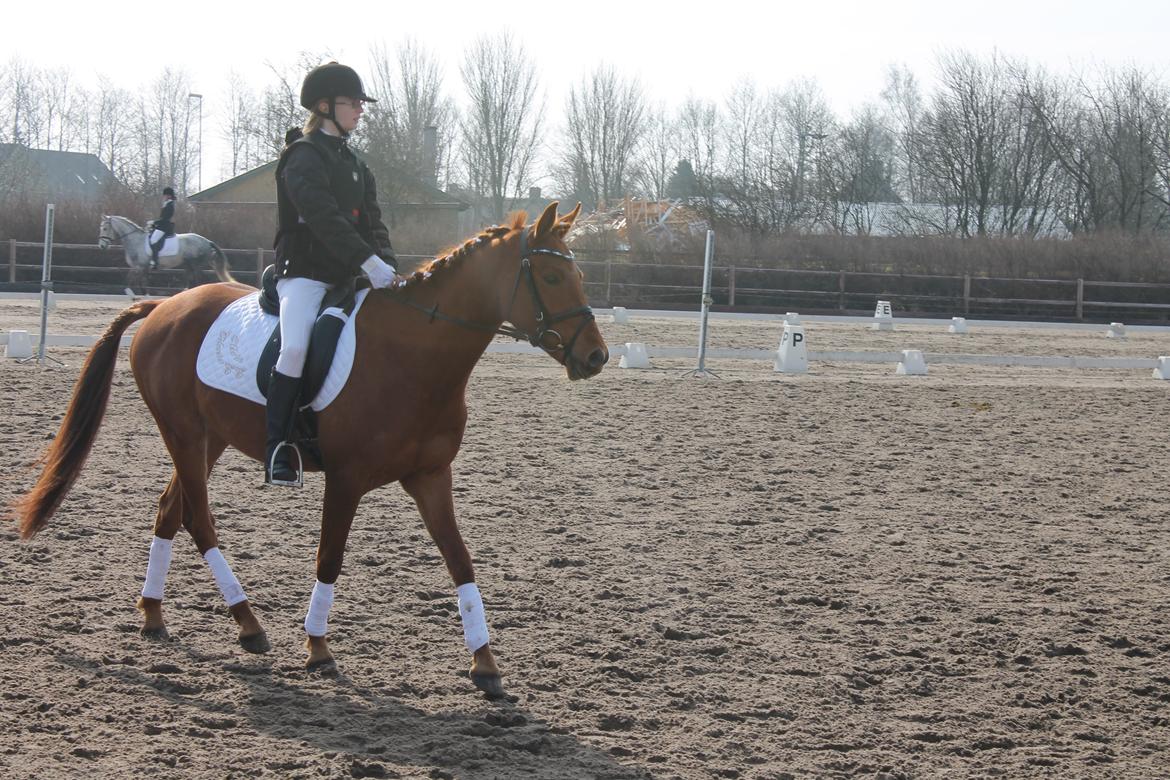 DSP Eldarion Telcontar TT (Dario) - Opvarmning på stævnepladsen :D billede 10