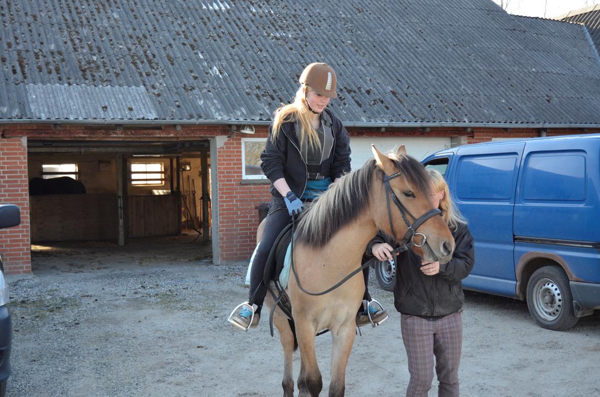 Anden særlig race Lucky [Udlånt] - April 2013 billede 5