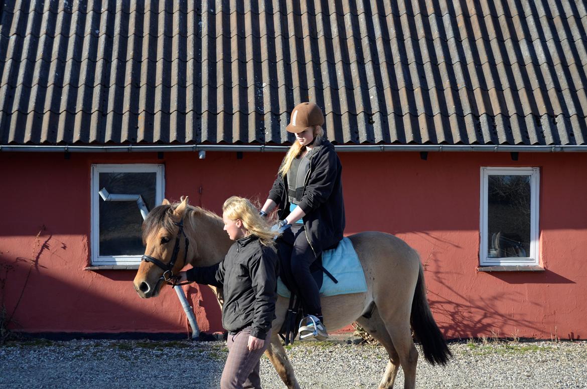 Anden særlig race Lucky [Udlånt] - April 2013 billede 6