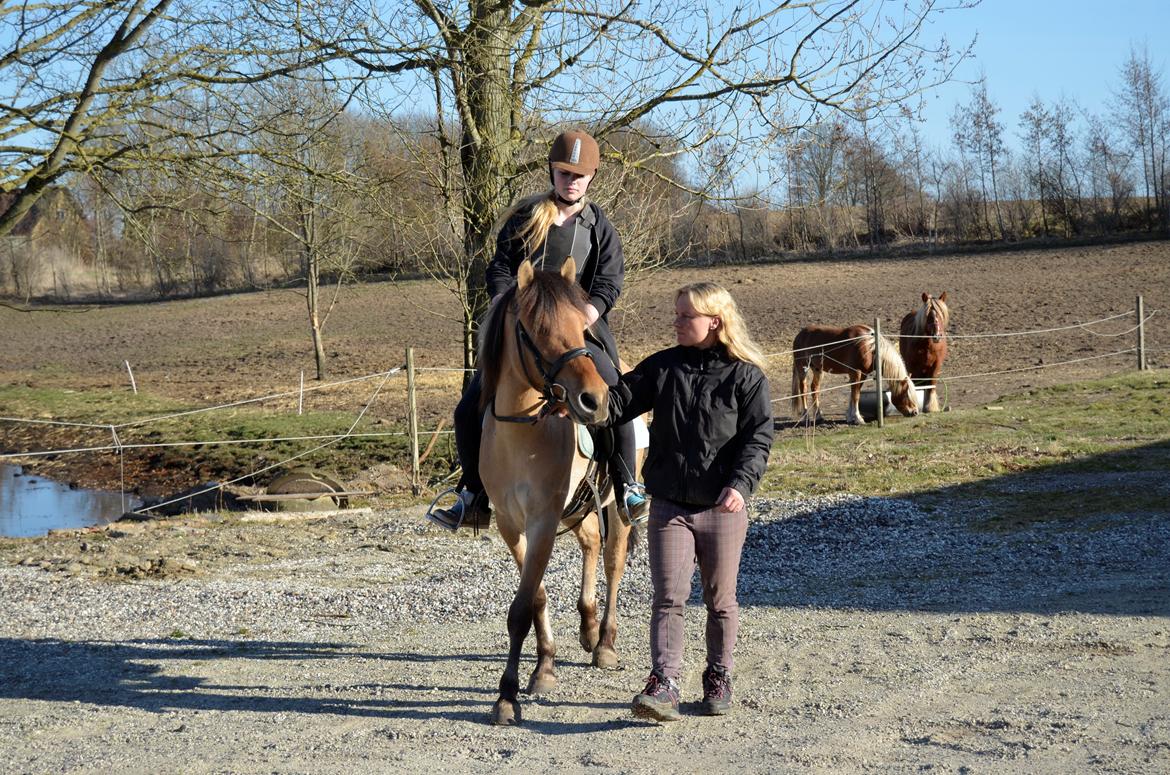 Anden særlig race Lucky [Udlånt] - April 2013 billede 7