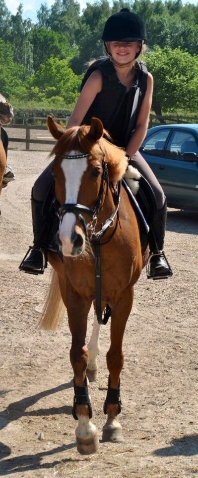 Anden særlig race Passir <3 <3 billede 18