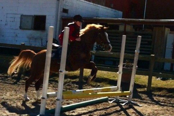 Anden særlig race Passir <3 <3 billede 20