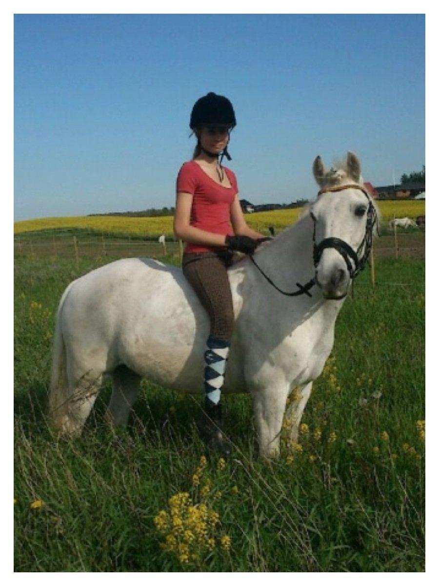 Anden særlig race Kikko billede 8