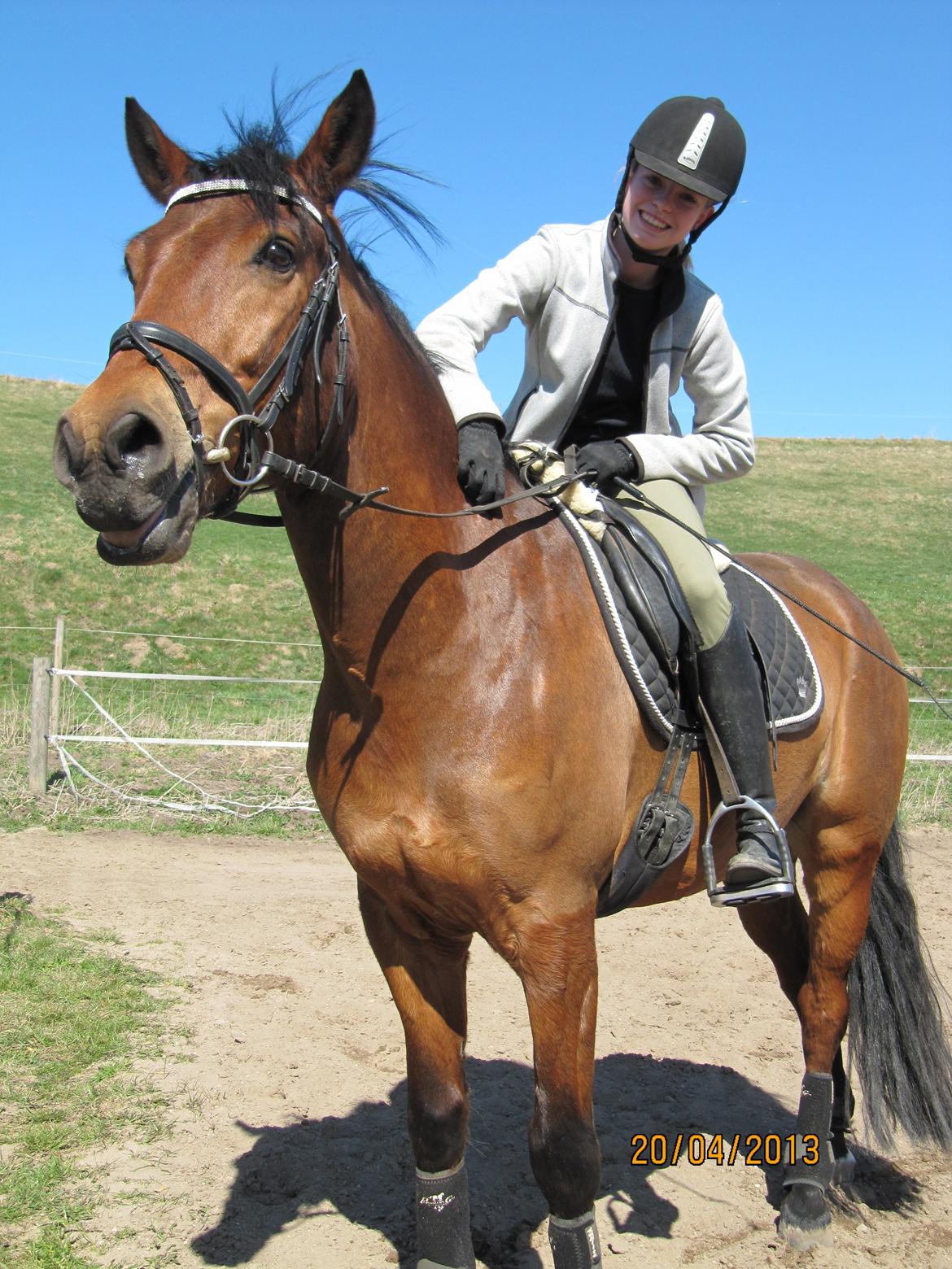 New Forest Sultan De Civry - Vi siger mange tak for kigget, ha' en forsat god dag ;D billede 20