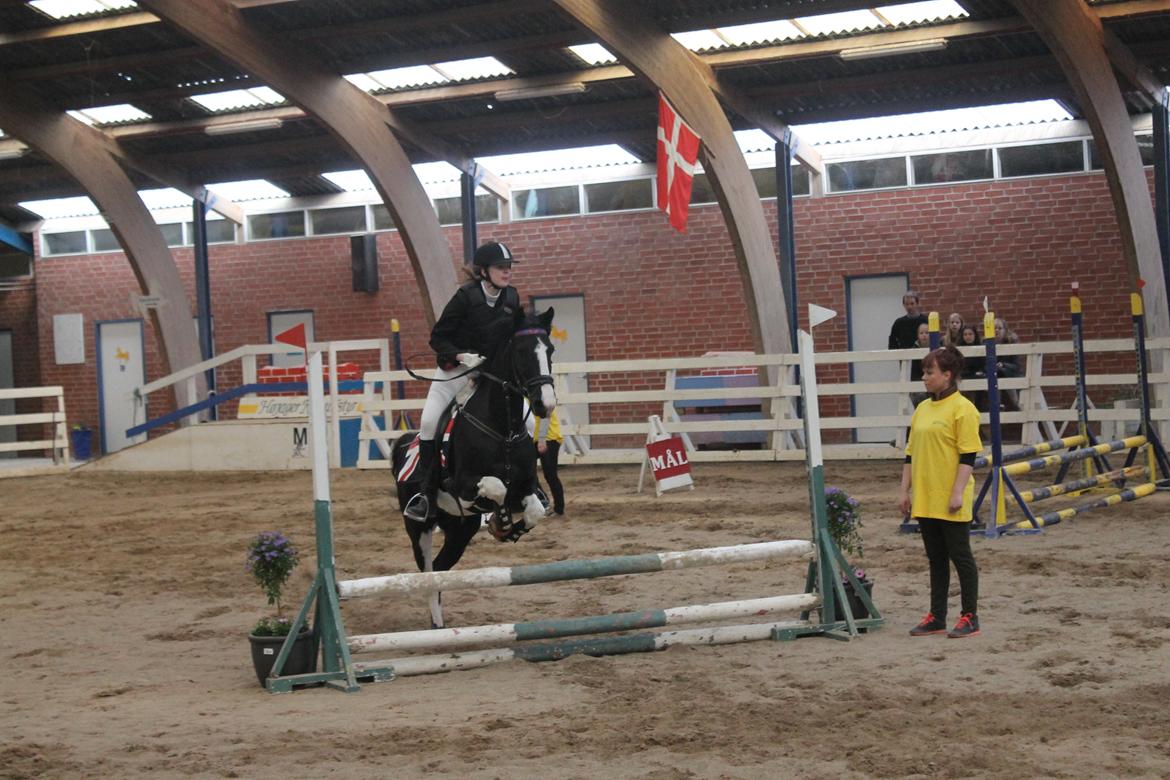 Barockpinto Jake - Jake & Jeg til 60 cm springstævne d. 21 April 2013.
Han var super dygtig og vi fik en 1 plads hjem! <3 billede 9