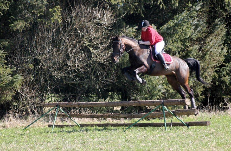 Anden særlig race Himmelhest Nightwish *DRØMMEHESTEN* - første gang :) foto taget af Baun foto billede 1