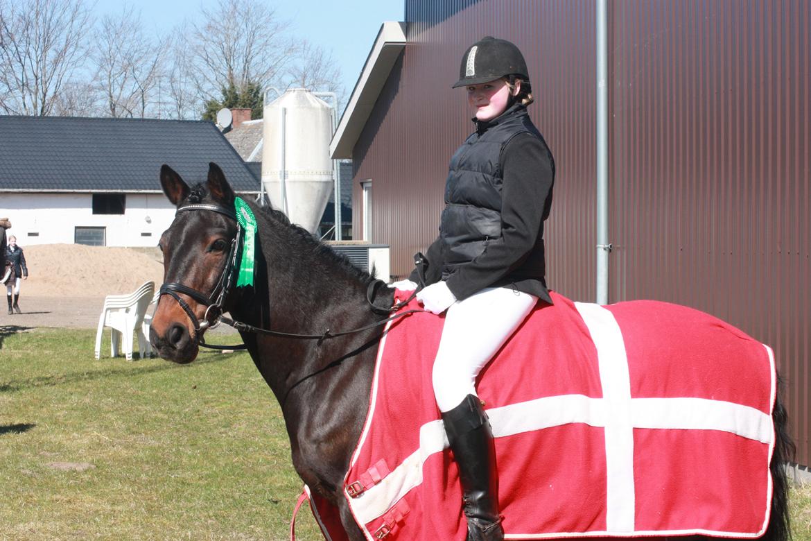 New Forest Elmholts Granat - billedet er taget af: Malene billede 8