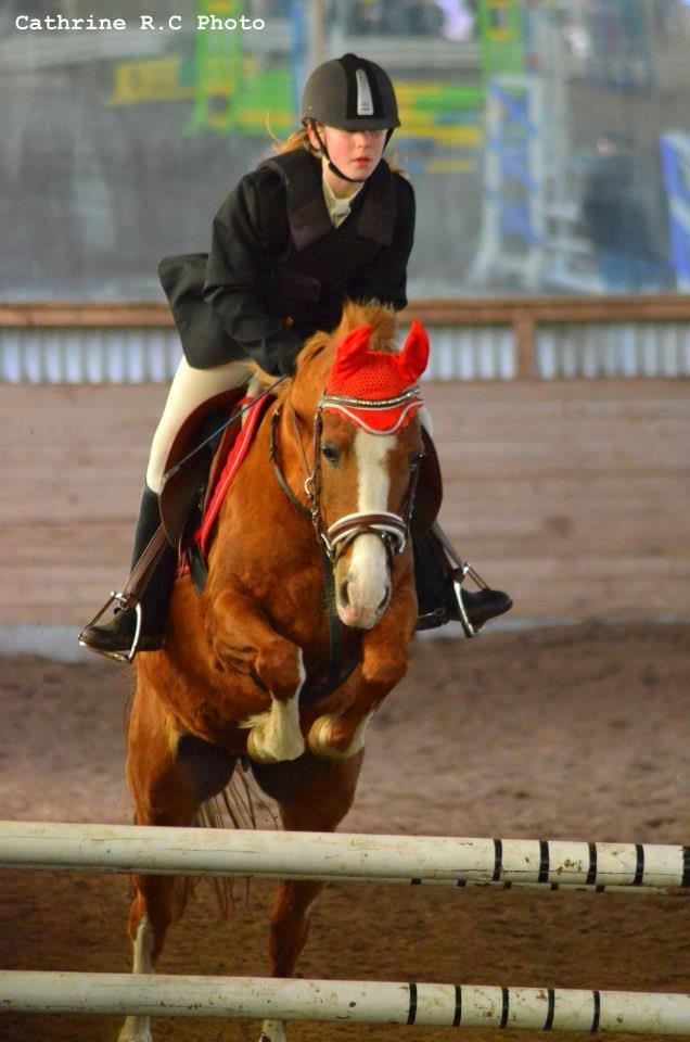 Anden særlig race La Fayette (Mit Et & ALT!!!) SOLGT - Springstafet  billede 19