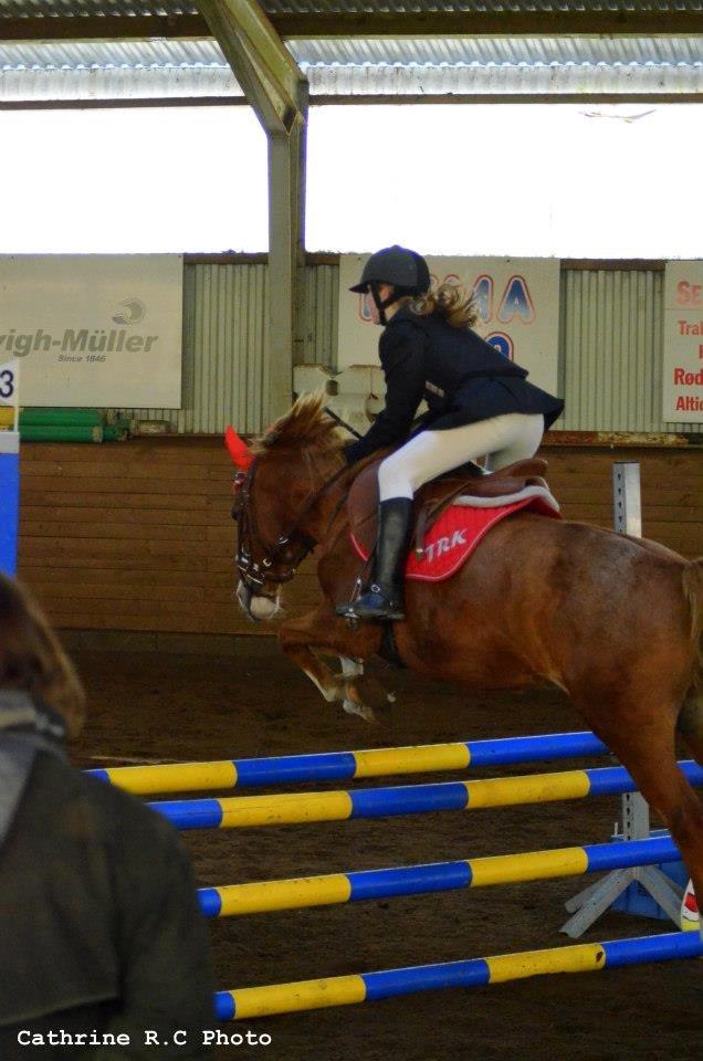 Anden særlig race La Fayette (Mit Et & ALT!!!) SOLGT - Springstafet  billede 20