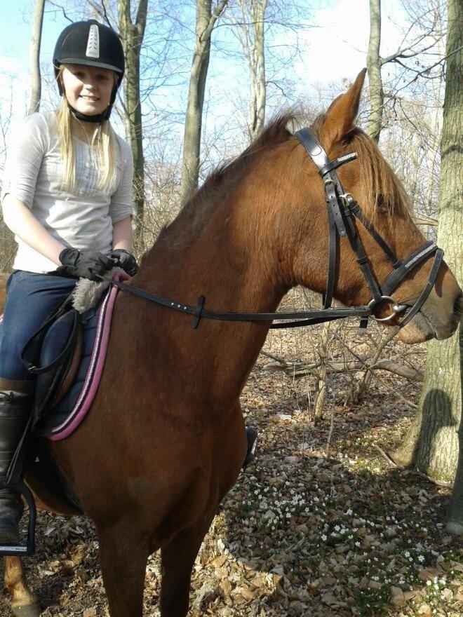 DSP Prima Donna <3 - 21/4-2013 Donnaaaaa <3 billede 1