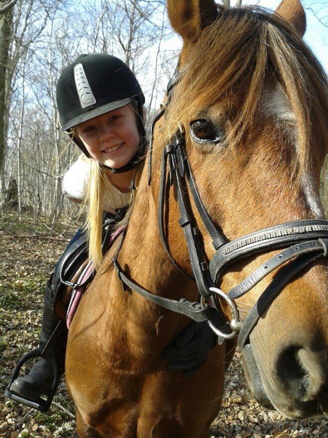 DSP Prima Donna <3 - 21/4-2013 - Verdens sødeste ponyyyyy <3 billede 6