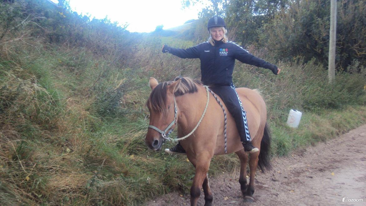 Anden særlig race Bamseline billede 6