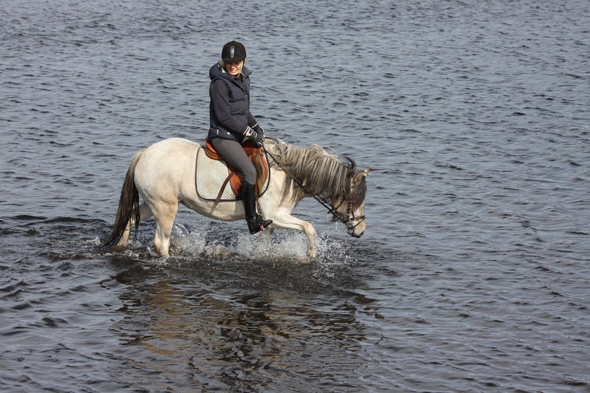 Anden særlig race Klinkhøjs Epona - Første gang i vand. april 2013 billede 13