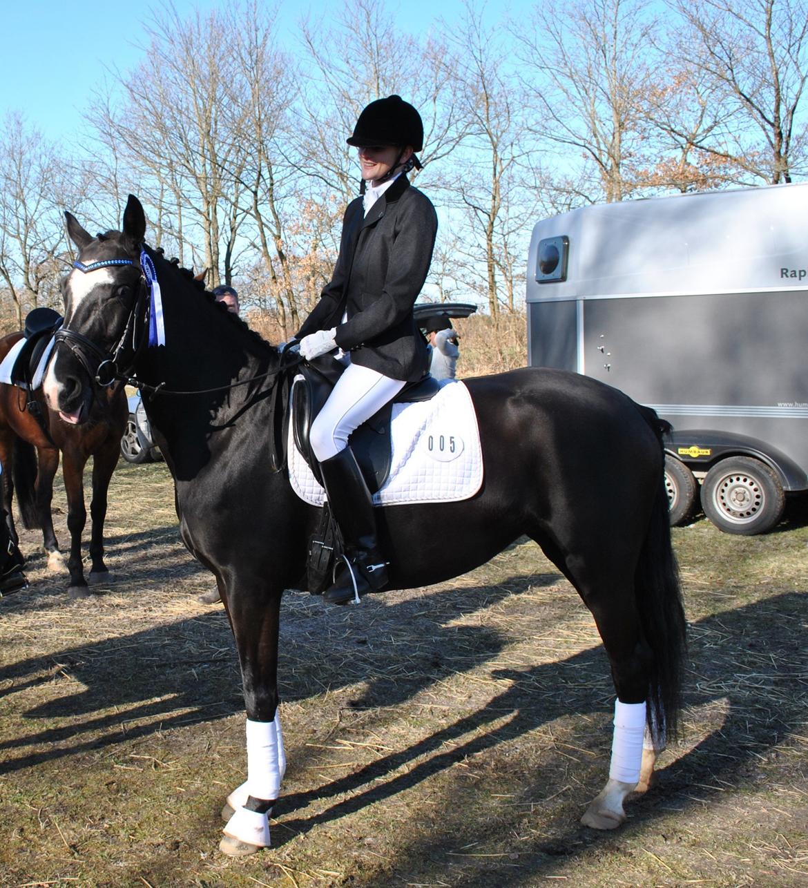 Anden særlig race Beauty "BÆSTET"  <3 billede 9