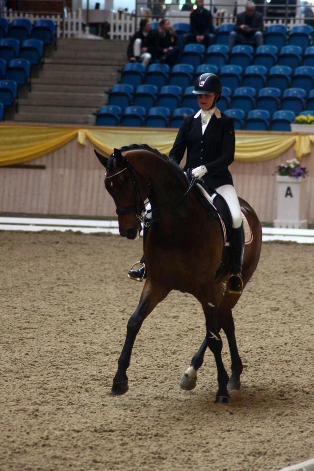 Dansk Varmblod Rollo - A hest - Vores kun 2. MB0 til 69,23% og vinder af klassen ved Danish Youth Dressage! billede 2