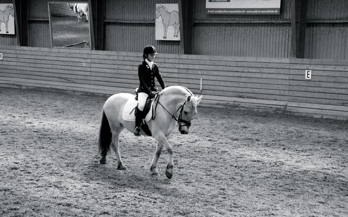 Fjordhest Atlet Bjergby - Første program redet for en dommer(u.f.k), vi red 70,42% og 72,50%.. dejlig debut vi fik lavet os :) 
April 2013 billede 33