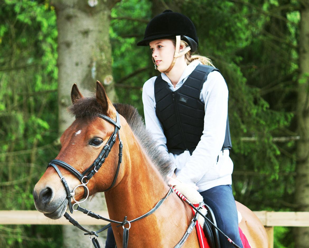 Anden særlig race PRINS KASHMIR  - d. 7/6-2012 Springtræning, her står vi og høre på hvad min træner har at sige.. billede 2