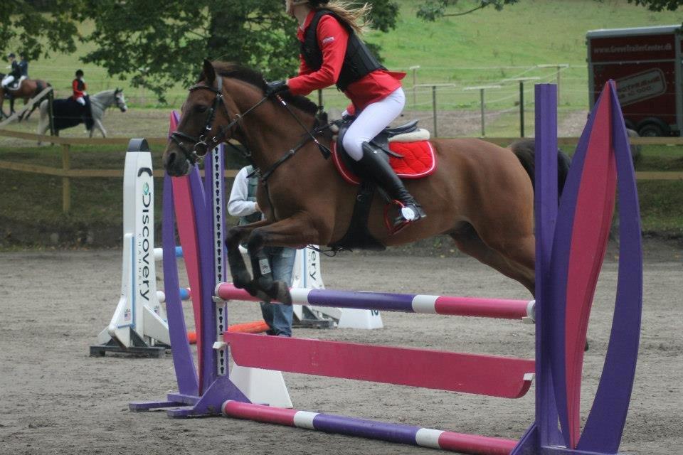 Anden særlig race PRINS KASHMIR  - d. 16/9-2012 Stævne på egene  billede 9