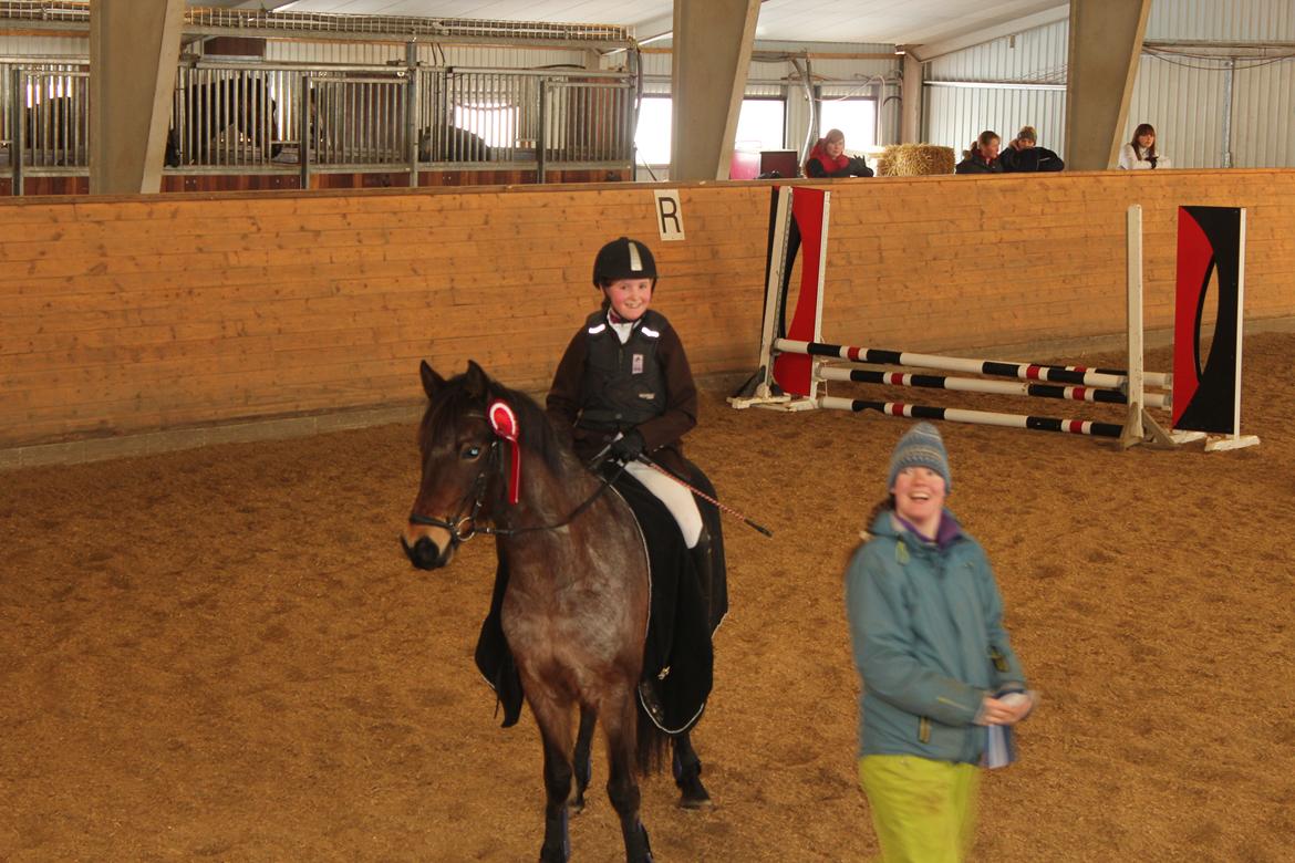 Welsh Partbred (Sec F) Kildegård Laura - Har lige fået roset på efter vores 2 stævne sammen, hvor vi fik en 1 plads <3 :) billede 5