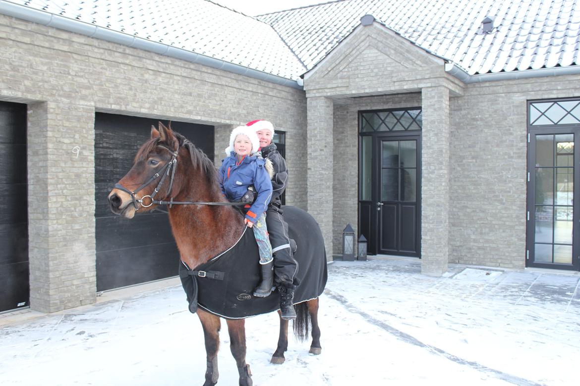 Welsh Partbred (Sec F) Kildegård Laura - mig og min lillebror på laura vinter 2012 :) billede 4