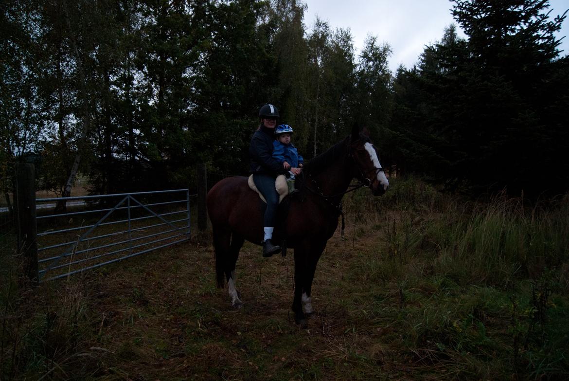 Hollandsk Varmblod Romy **MIN ET OG ALT** - Mor og Magnus på tur I skoven <3 billede 19