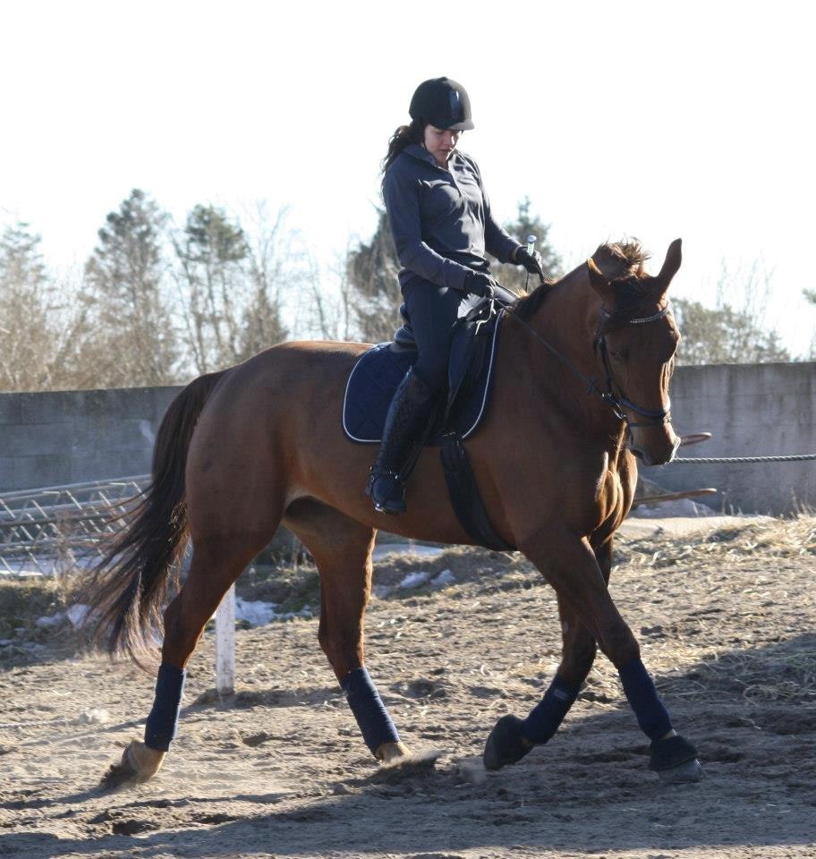 Frederiksborg Santos billede 14