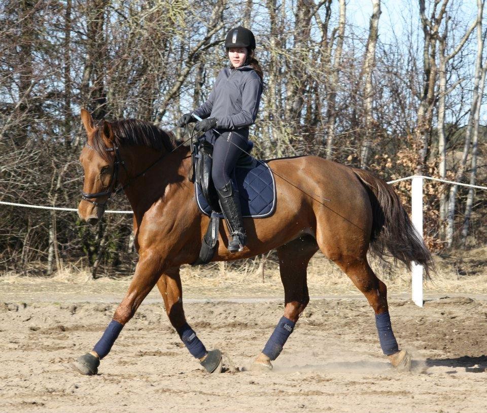 Frederiksborg Santos billede 16