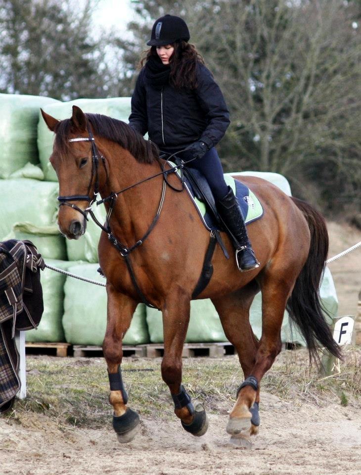 Frederiksborg Santos billede 17