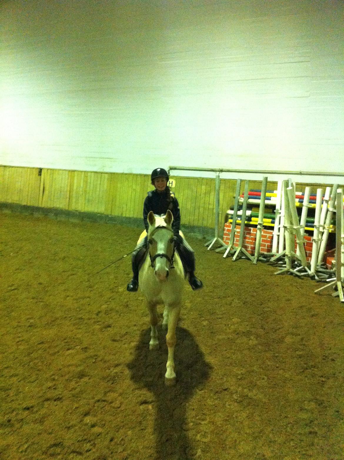 Palomino Fortunens Logo - Ved godt jeg ser dum ud, men Logo er kær! :) billede 8