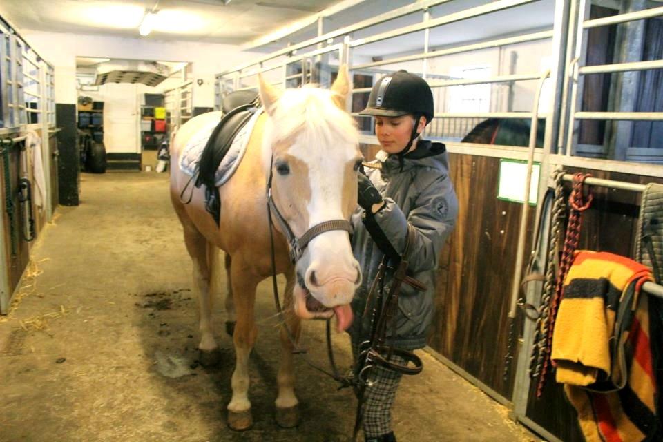 Palomino Fortunens Logo - Fotograf: Helena | Tak for at I kiggede med, håber I vil lægge en kommentar og bedømmelse <3 billede 20