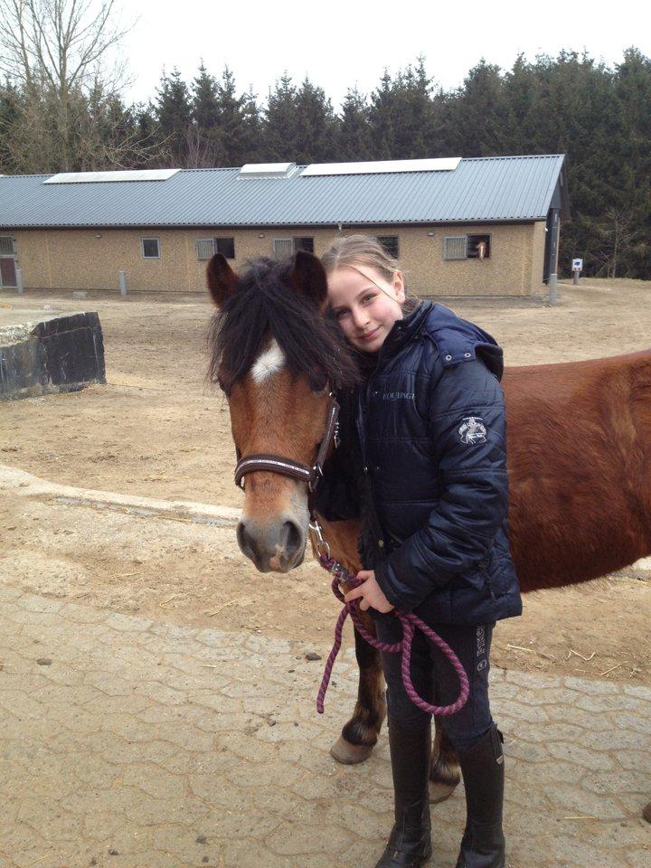 Anden særlig race Bølle Bob - jeg elsker dig <3 billede 9