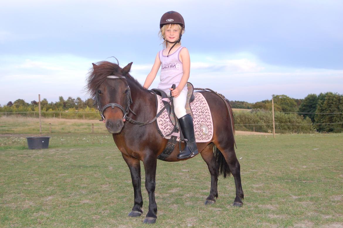Shetlænder Beauty - Nathalie og hendes elskede Beauty billede 4