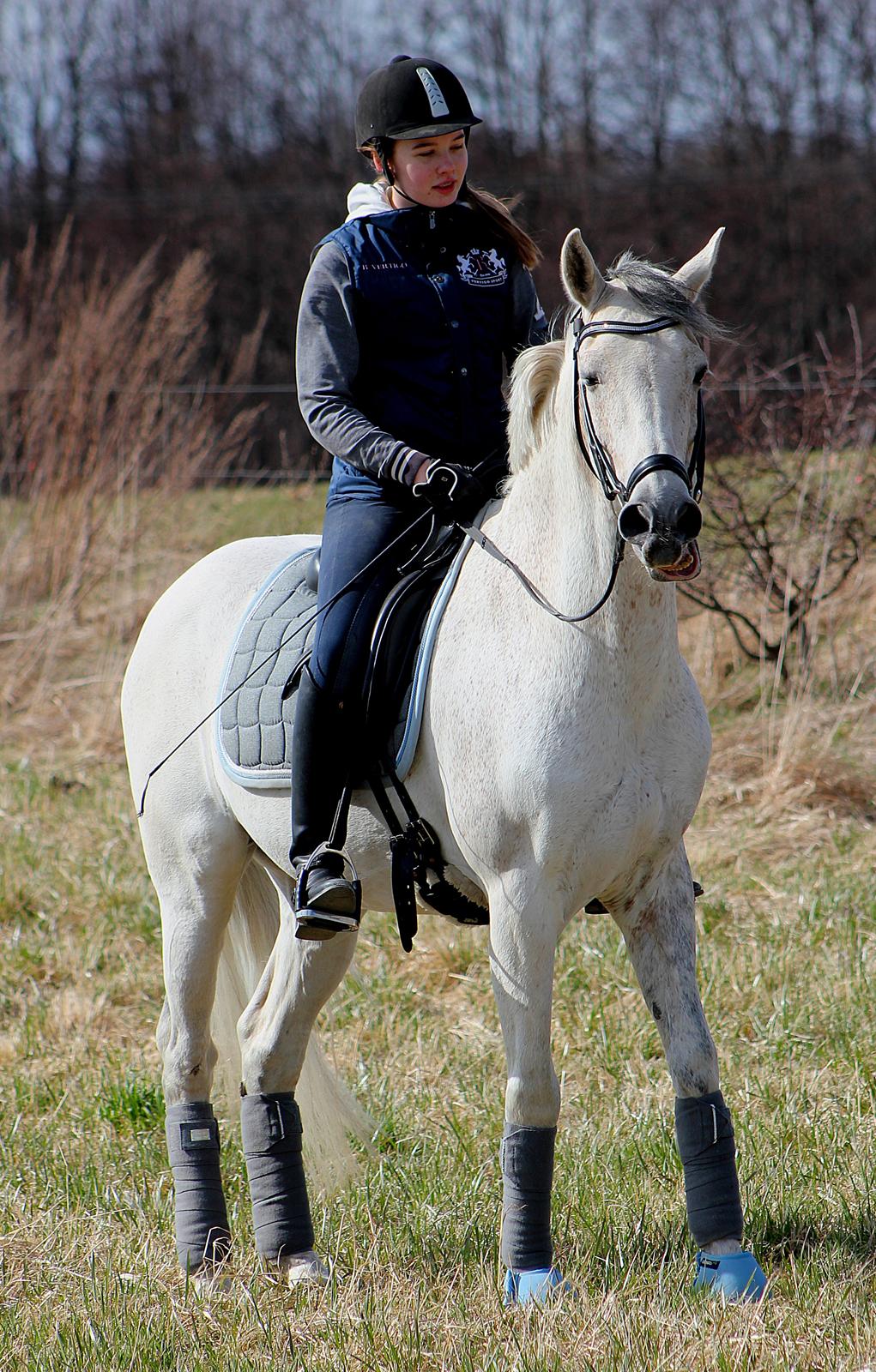 Hollandsk Sportspony LOOK AT ME - Fjolle pony :p 2013 billede 17