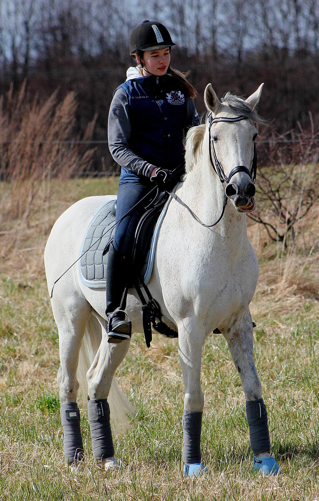 Hollandsk Sportspony LOOK AT ME - Fjolle pony :p 2013 billede 17