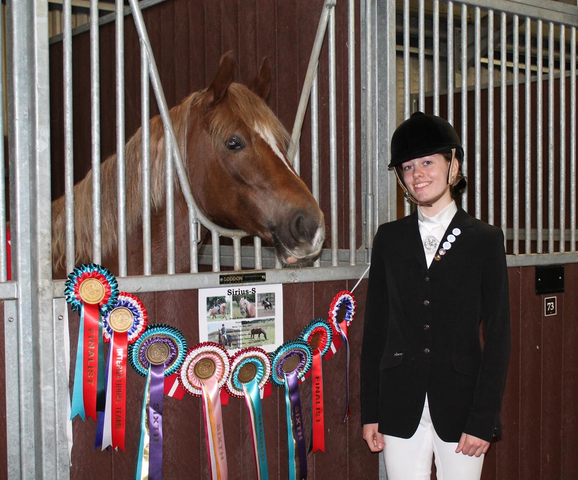 Welsh Cob (sec D) Sirius-S [Rider] - - 14/4-13, stævne i England. Fed oplevelse! :-) billede 3