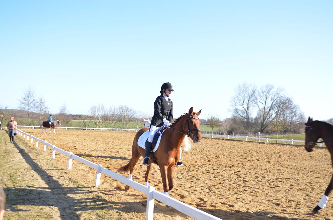 DSP Eldarion Telcontar TT (Dario) - Opvarmning til stævne i Tommerup:D billede 18