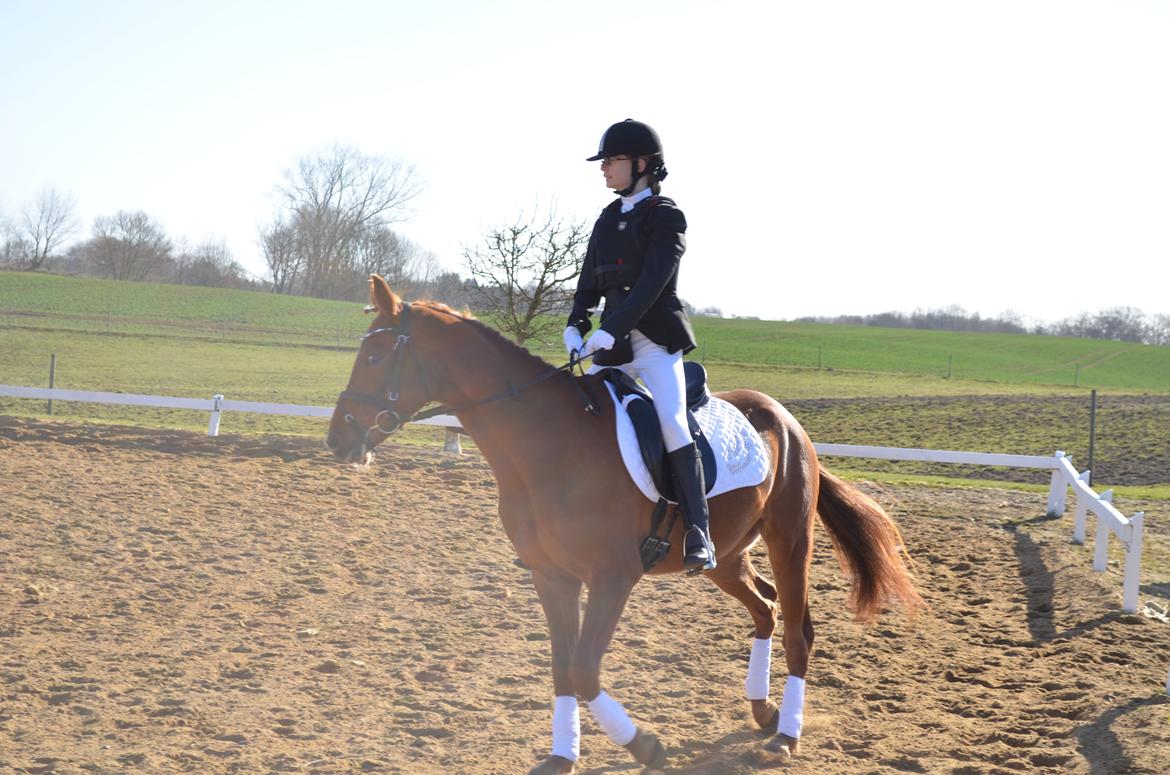 DSP Eldarion Telcontar TT (Dario) - Jeg ved godt jeg er lækker, jeg får det at vide hele tiden:D billede 19