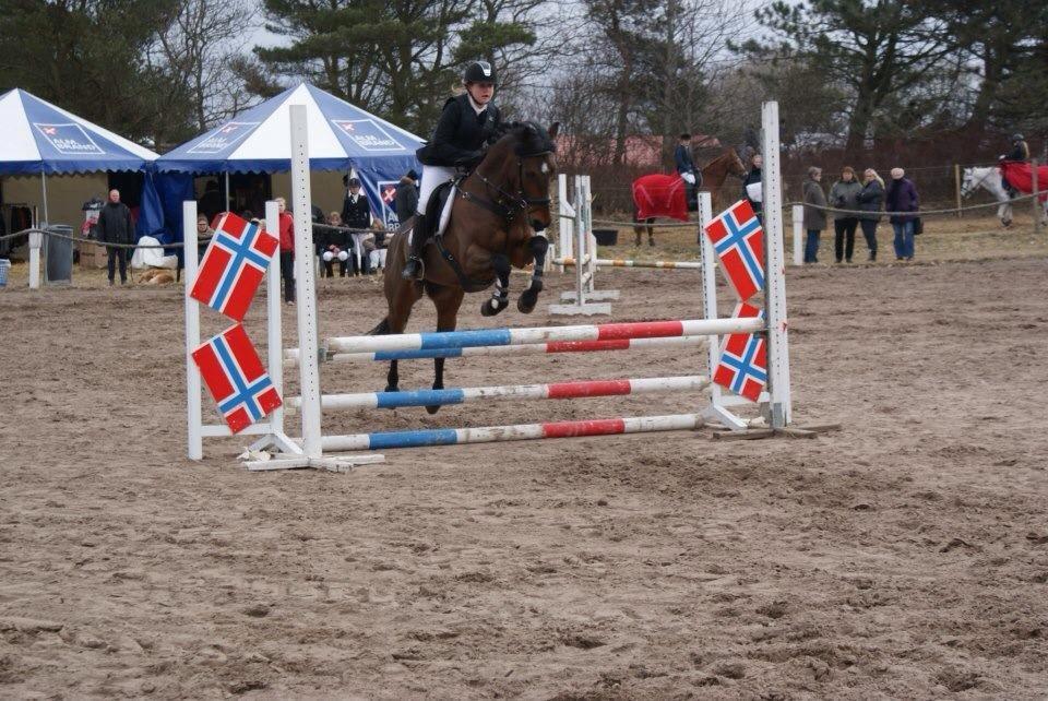 Hollandsk Sportspony Traquito. - D.stævne i Nibe!
LD 1.plads billede 8