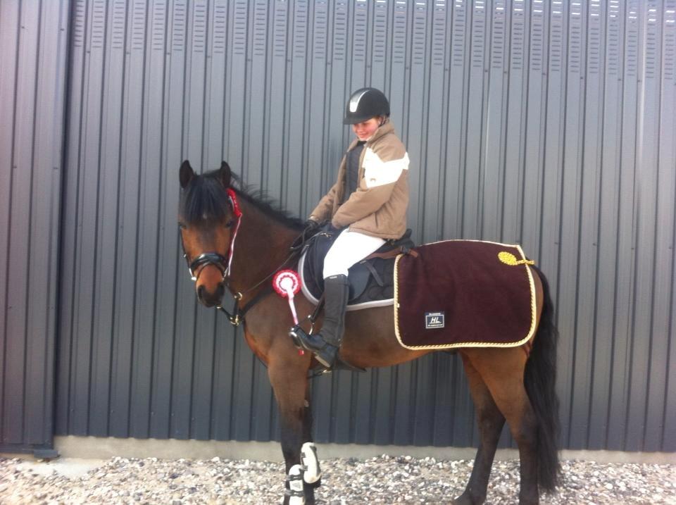 Hollandsk Sportspony Traquito. - Første stævne! LE 1.plads LD 1.plads!<3 stolt! :-) billede 10