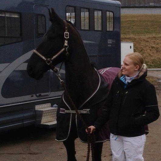 Frieser Like Jebjerg billede 4