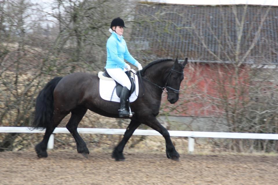 Frieser Like Jebjerg - Like og Emma til stævne i Hejlsminde billede 1