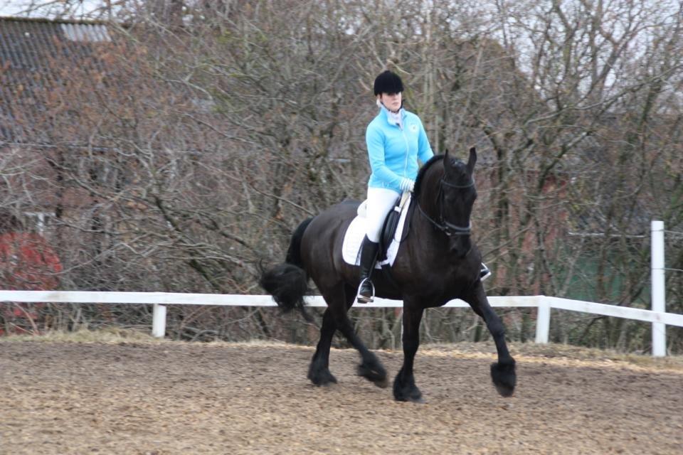 Frieser Like Jebjerg - Like og Emma til stævne i Hejlsminde billede 2